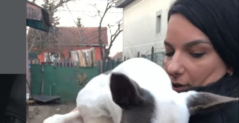 Anica Ninković cover