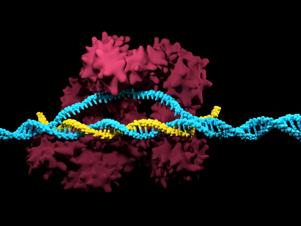 External Contributor cover
