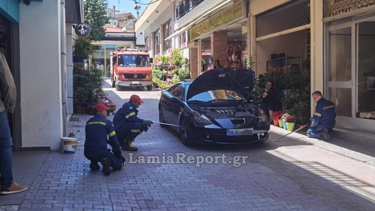 Αναστάτωση από φίδι στο κέντρο της Λαμίας (ΒΙΝΤΕΟ-ΦΩΤΟ) - Lamia Report