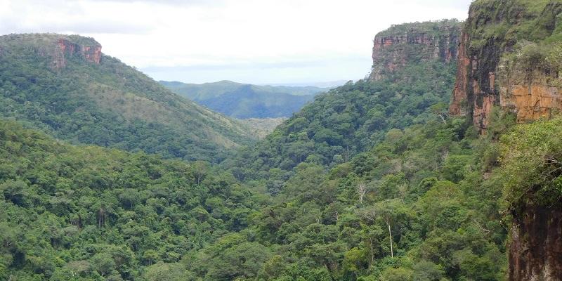 Extreme El Niño weather switched off South American's carbon sink | University of Leeds
