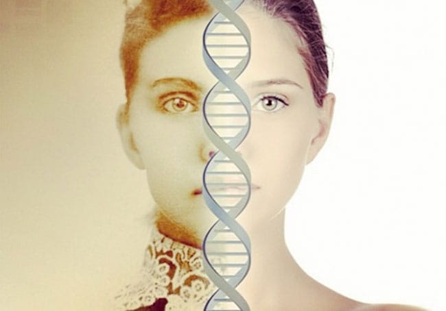 Chromosome Mapping with Free Tool from Legacy Tree Genealogists