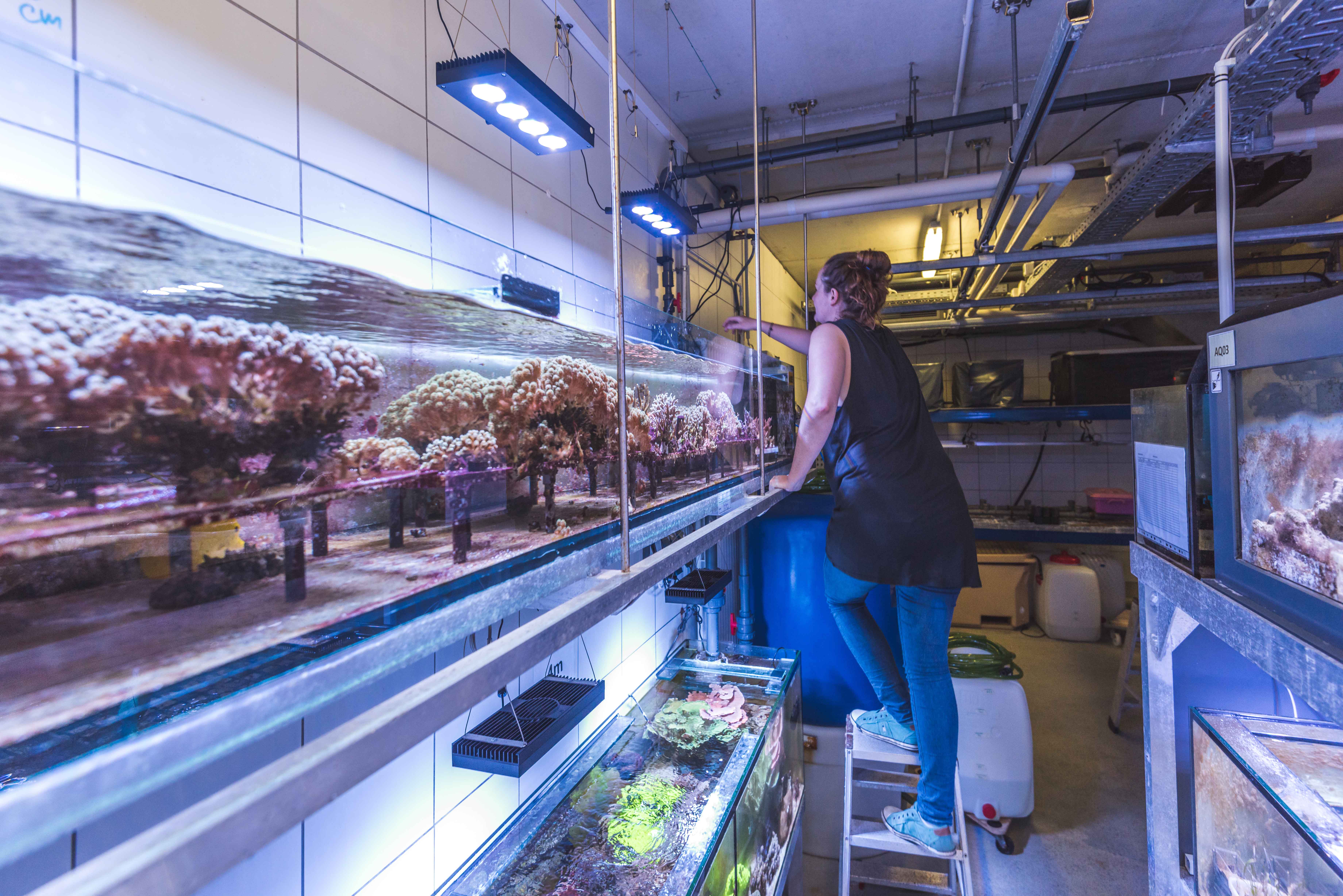 Tierschutz am ZMT