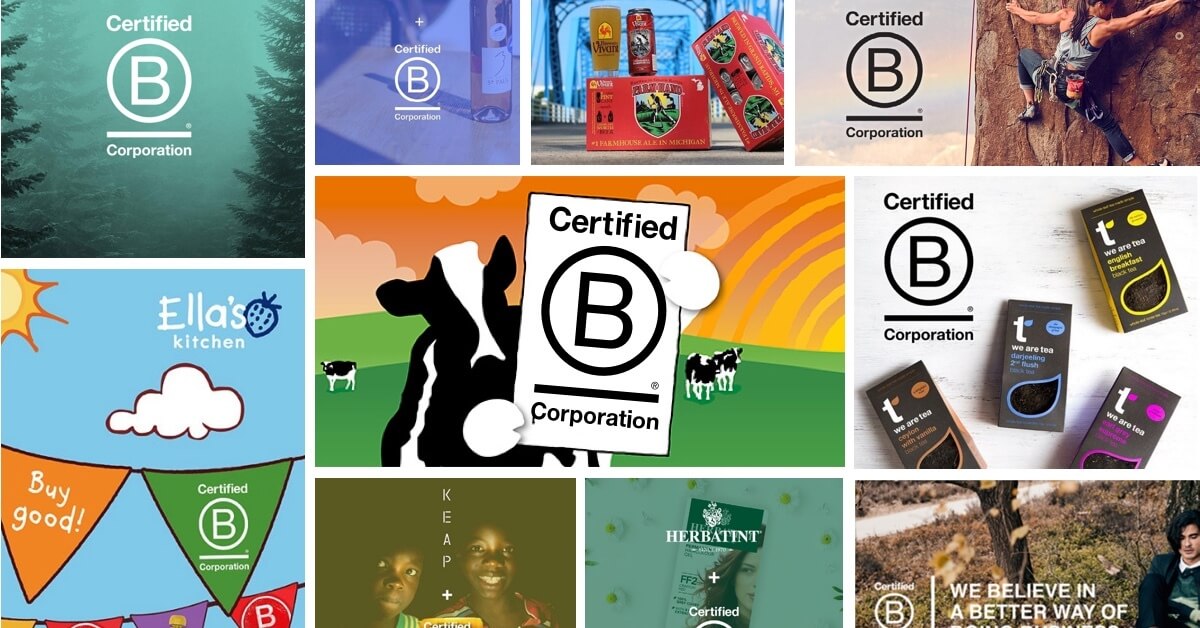The B Corporation, Explained - Lemonade Insurance