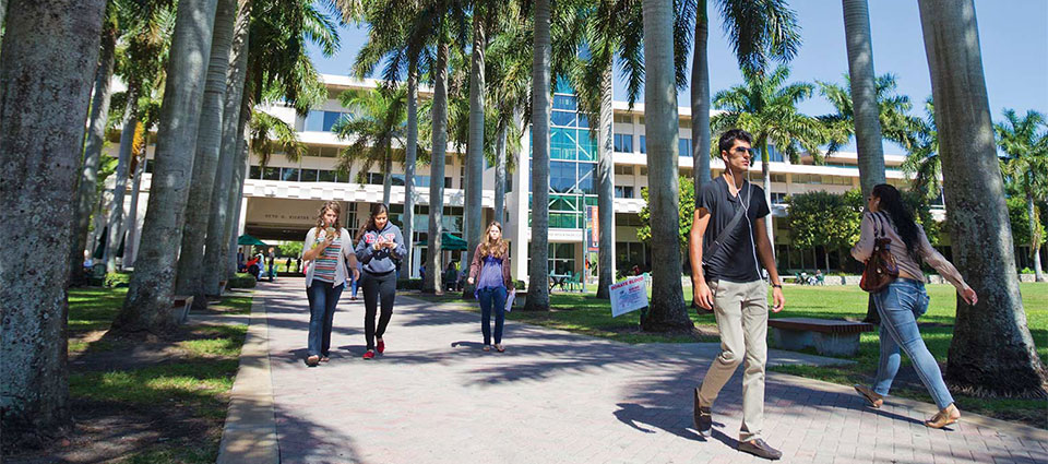 Ask a Librarian | University of Miami Libraries