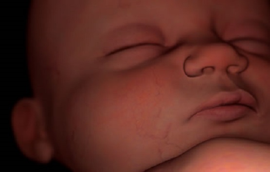 Irish Prime Minister Enda Kenny Pushes Vote to Repeal 8th Amendment Protecting Unborn Babies - LifeNews.com