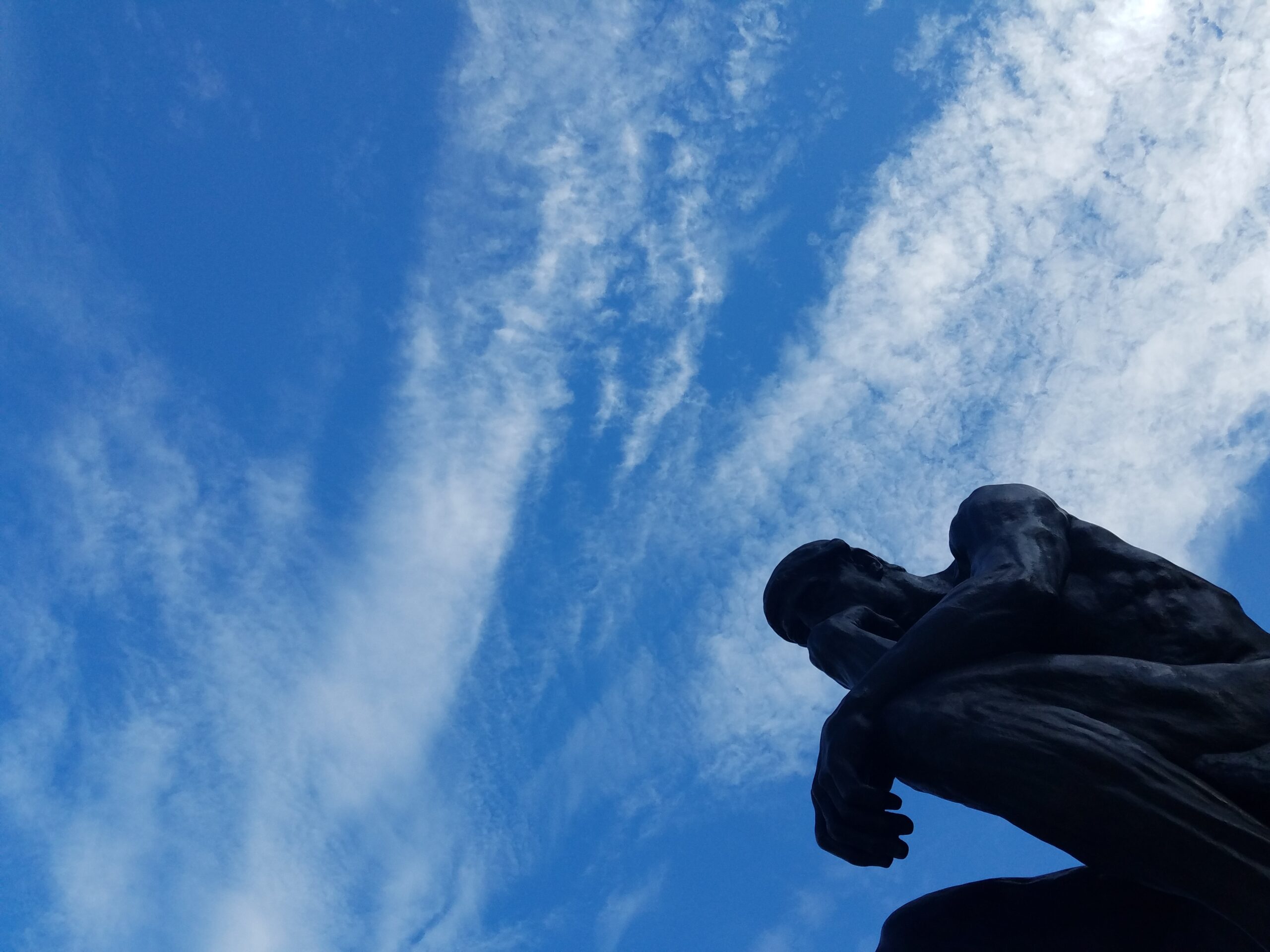 Student Government Association: How does it work? – The Louisville Cardinal