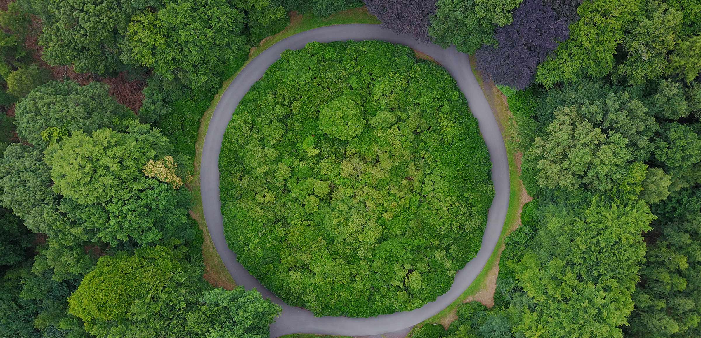 Is the circular economy the future of the FMCG supply chain? - LPR