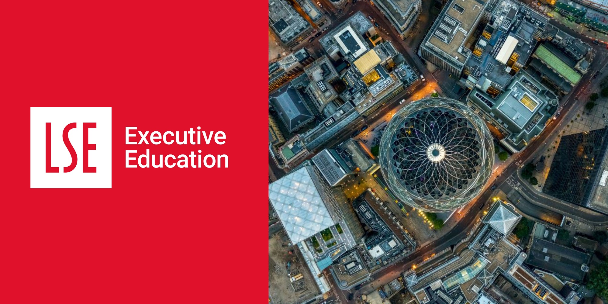 LSE Executive Education Associate Status | Join Our Professional Network | LSE Executive Education