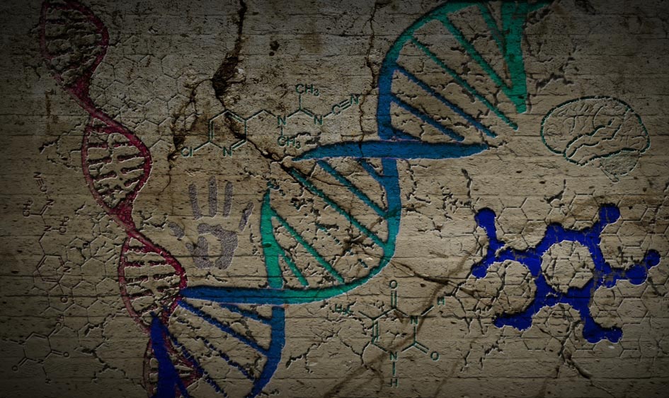 "Hidden Valley Road" and Schizophrenia: Do Genes Tell the Story? - Mad In America
