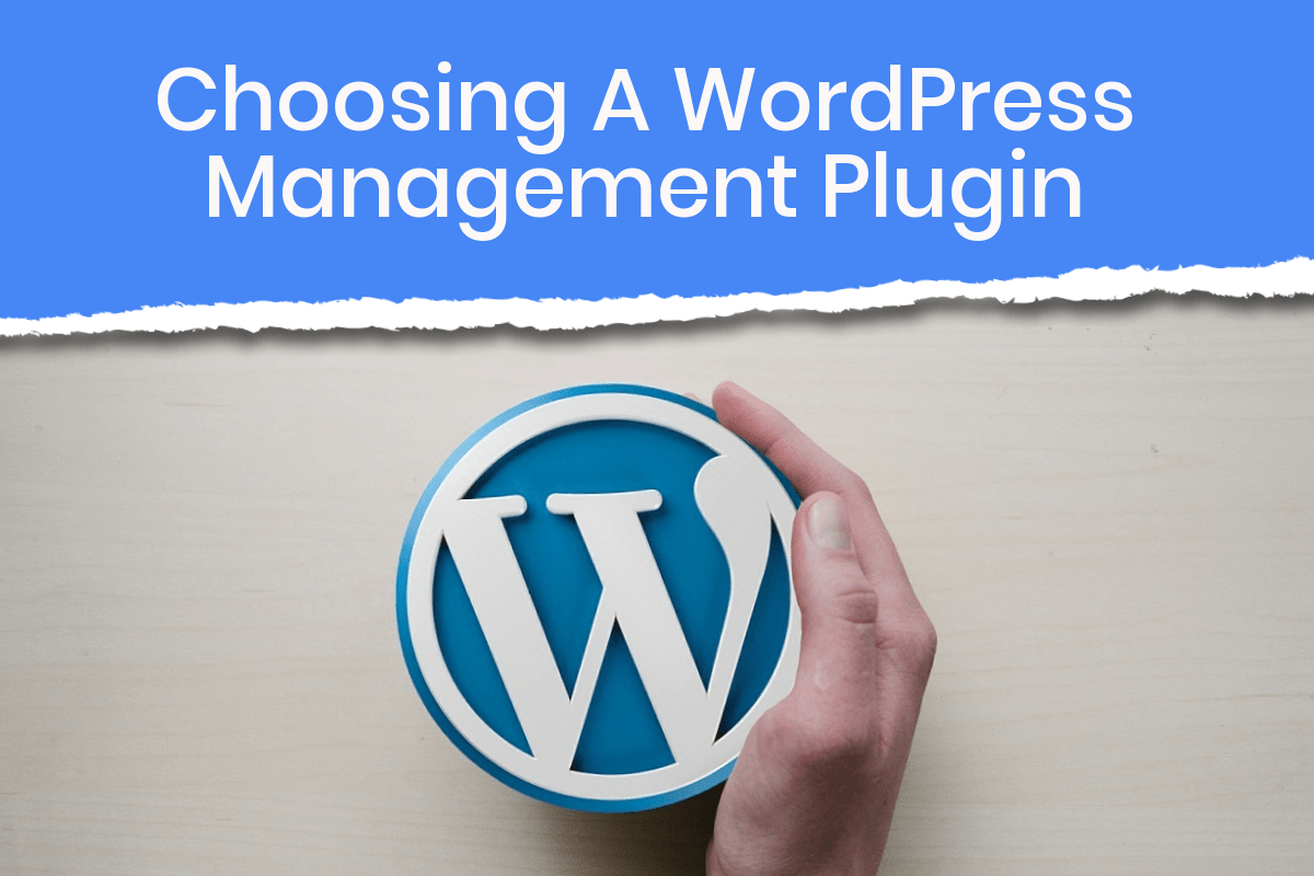12 Best WordPress Maintenance Services for Your Site Care - BlogVault
