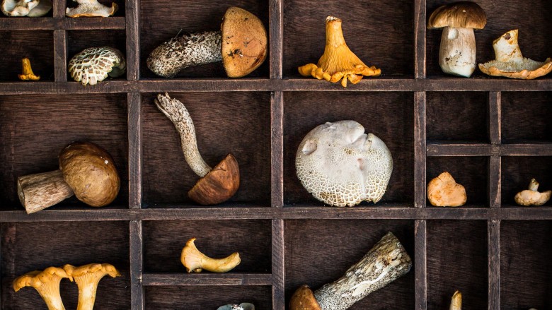 The Best Ways To Cook With Mushrooms