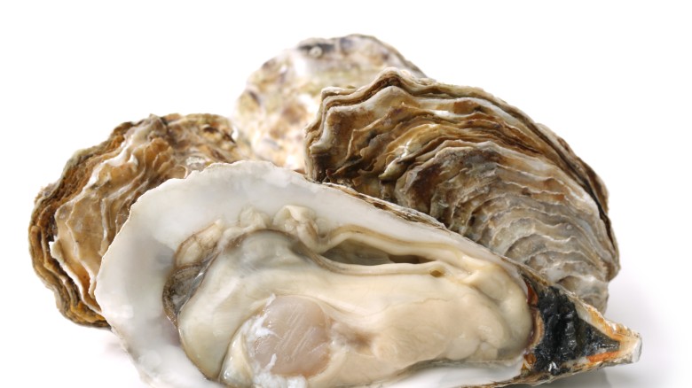 The Truth About Oysters