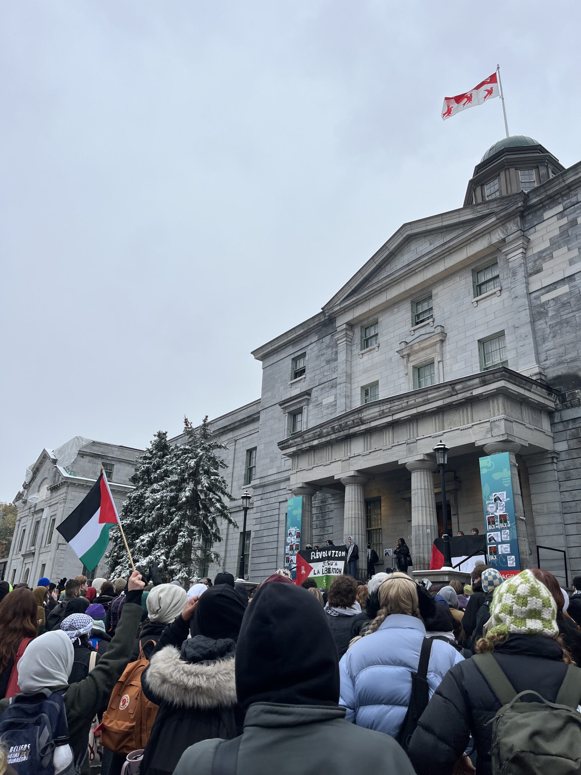 Student Rally for Gaza - The McGill Daily