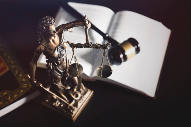 The Efficiency Paradox of Judicial AI - MediaLaws