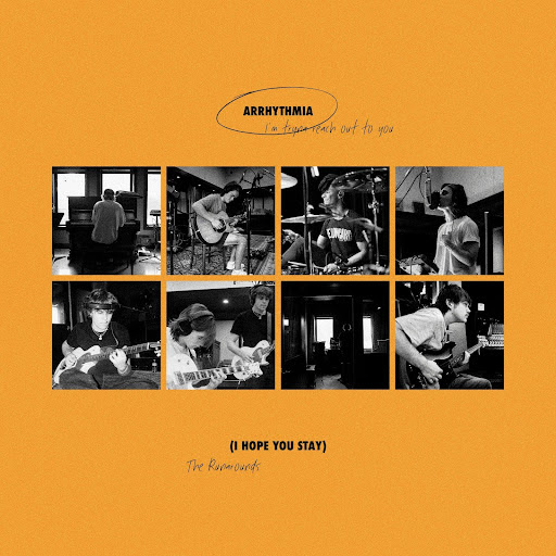 The Runarounds release new song “Arrhythmia (I Hope You Stay)” » // MELODIC Magazine