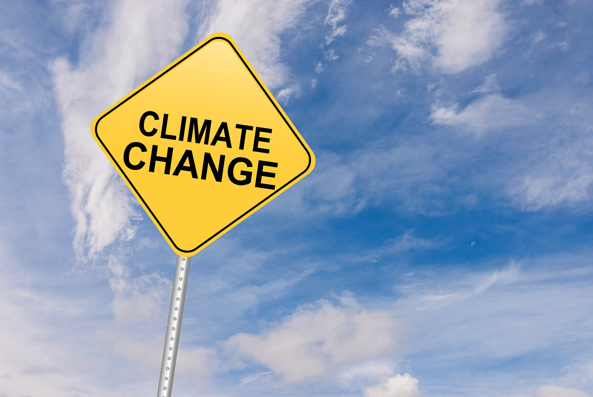 Cambiamenti climatici: rimuovere CO2 dall'atmosfera può aiutare, ma occorre un'enorme spinta in innovazione