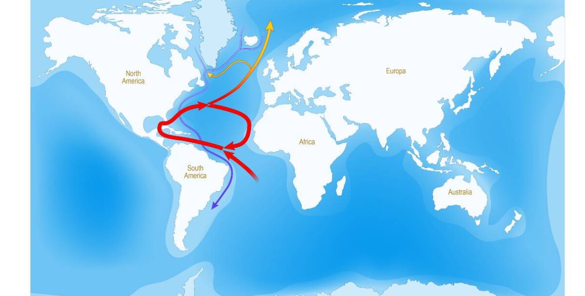 Clima, come un cambiamento nella Corrente del Golfo potrebbe segnalare il collasso dell’AMOC: lo studio