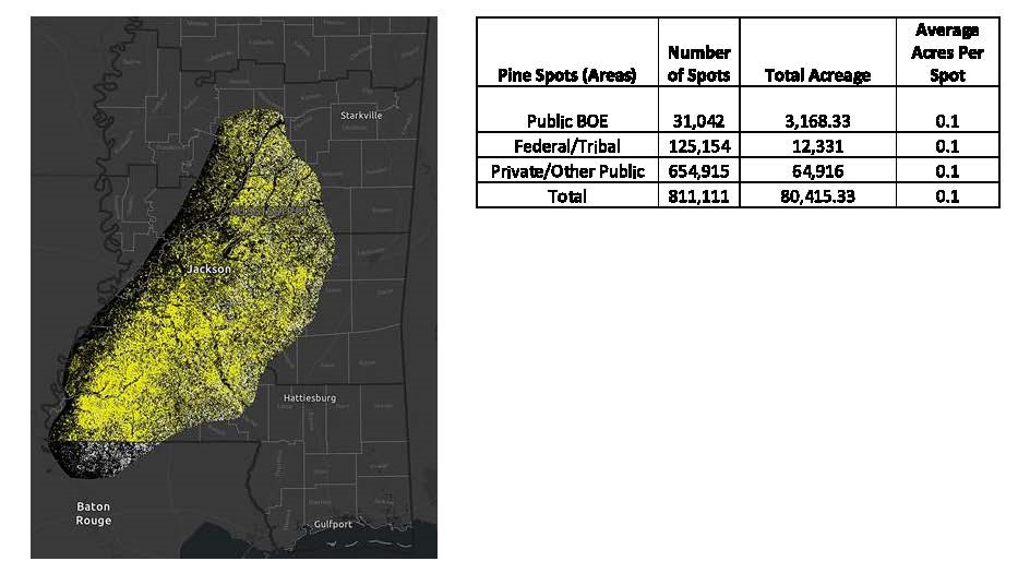 2024 Pine Mortality Report - Mississippi Forestry Commission