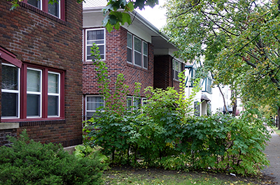 Does rent control make sense for Minneapolis? What theory and evidence tell us - MinnPost