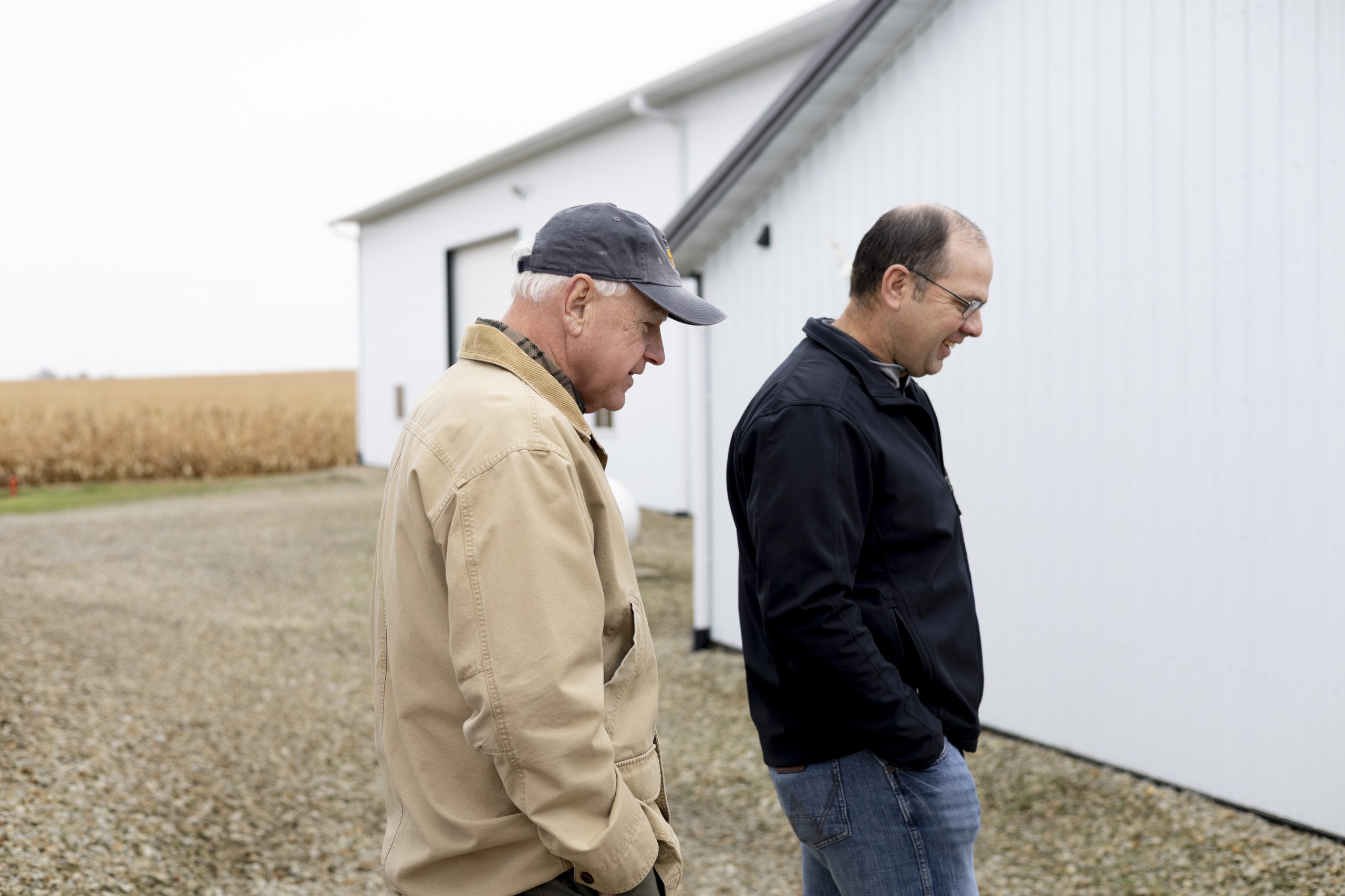 Minnesota farmers want trade over a bailout, but they’d take it - MinnPost