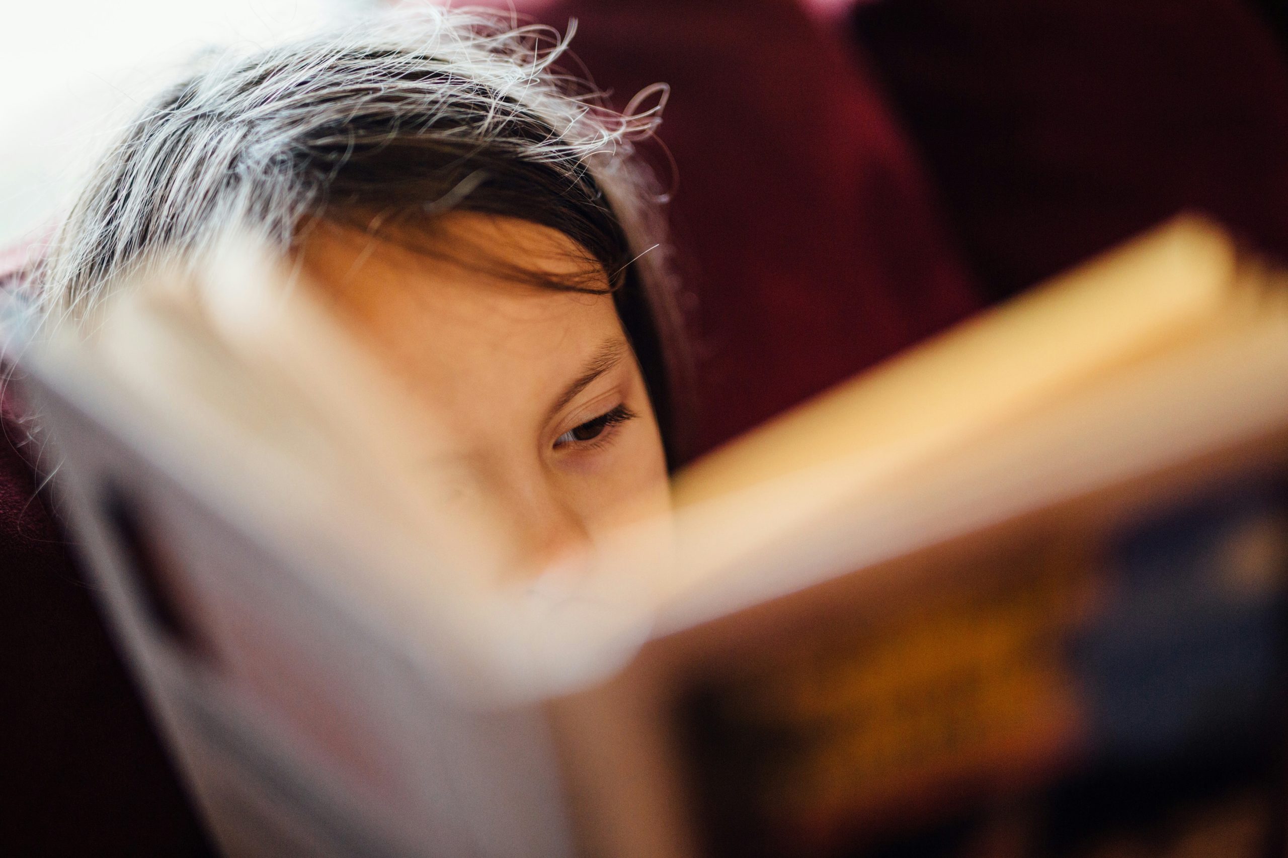 Minnesota lawmakers debate changes to READ Act