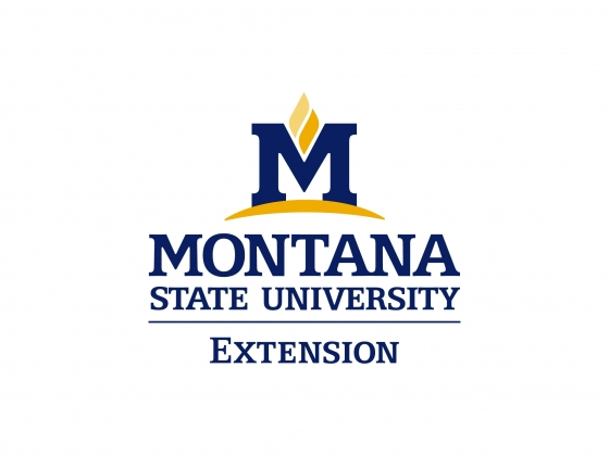 MSU News | Montana State University