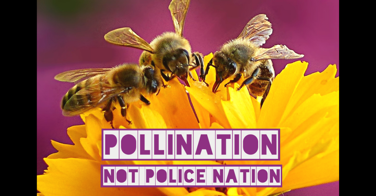 MPD150: POLLINATION, NOT POLICE NATION: An Oral History of the MPD150 Project