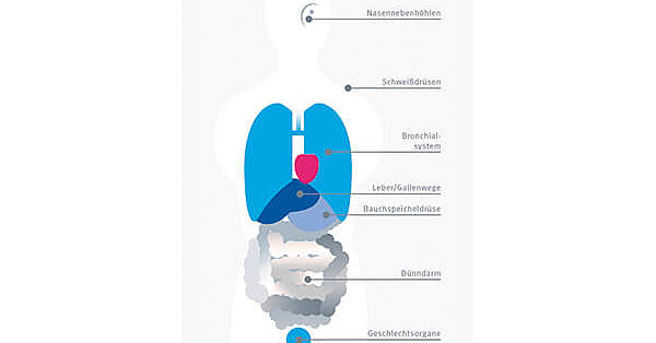 Was ist Mukoviszidose (Cystische Fibrose, CF)? | Mukoviszidose e.V. Bundesverband Cystische Fibrose (CF)