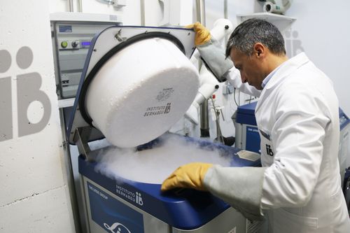 Más de 60.000 embriones congelados están abandonados en España - Empresa - murcia.com