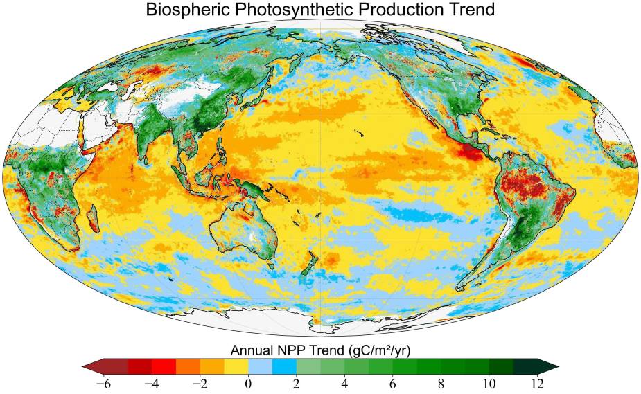 Photosynthesis rising on land but falling in oceans, global study finds • Muser Press