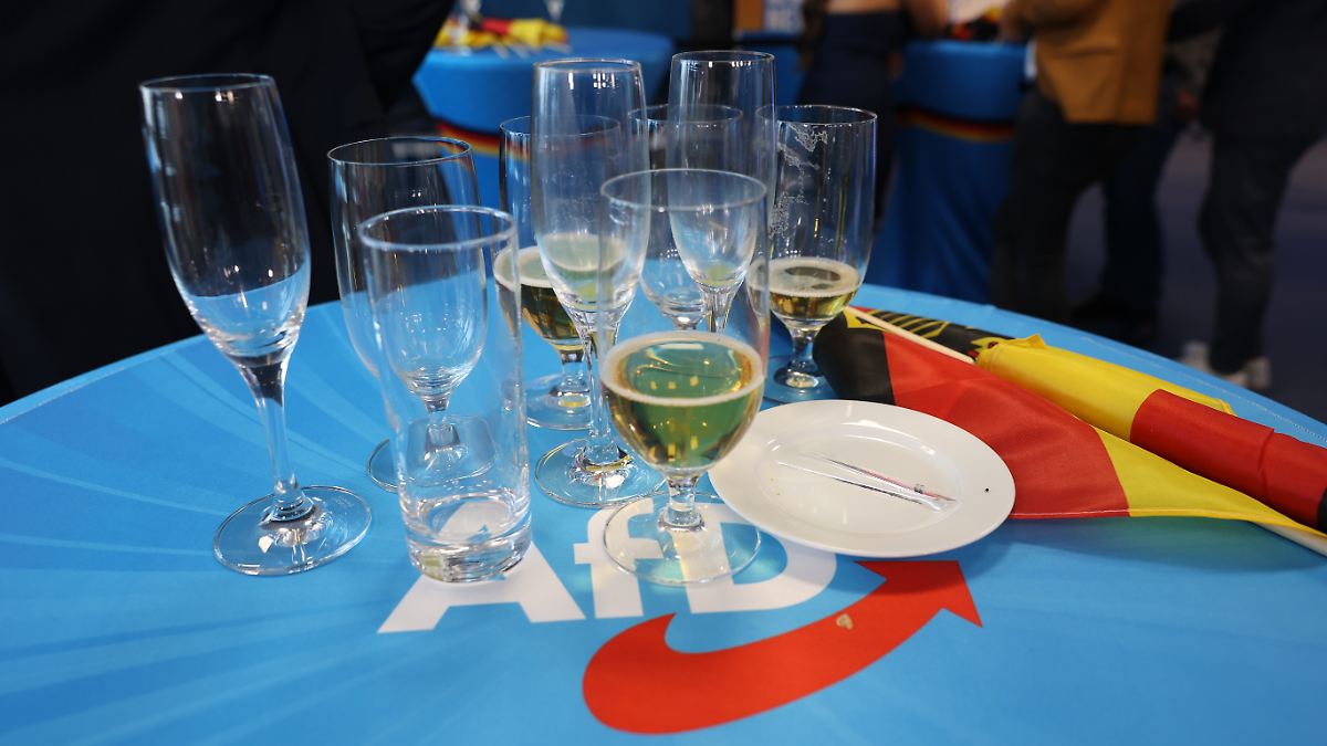 Jugend wählt rechts bei Europawahl: "Jungwähler unterschätzen die Konsequenzen" - ntv.de