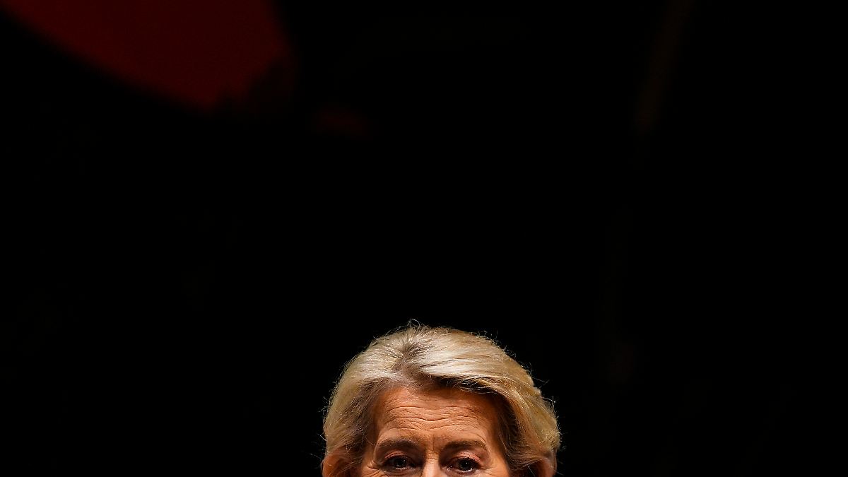 Misstrauensvotum im EU-Parlament: "Frau von der Leyen wird uns etwas anbieten müssen" - ntv.de