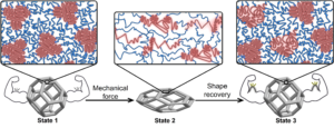 Revolutionizing Sustainable Materials: Strain Learning Metamaterials Inspired by Nature - NanoES