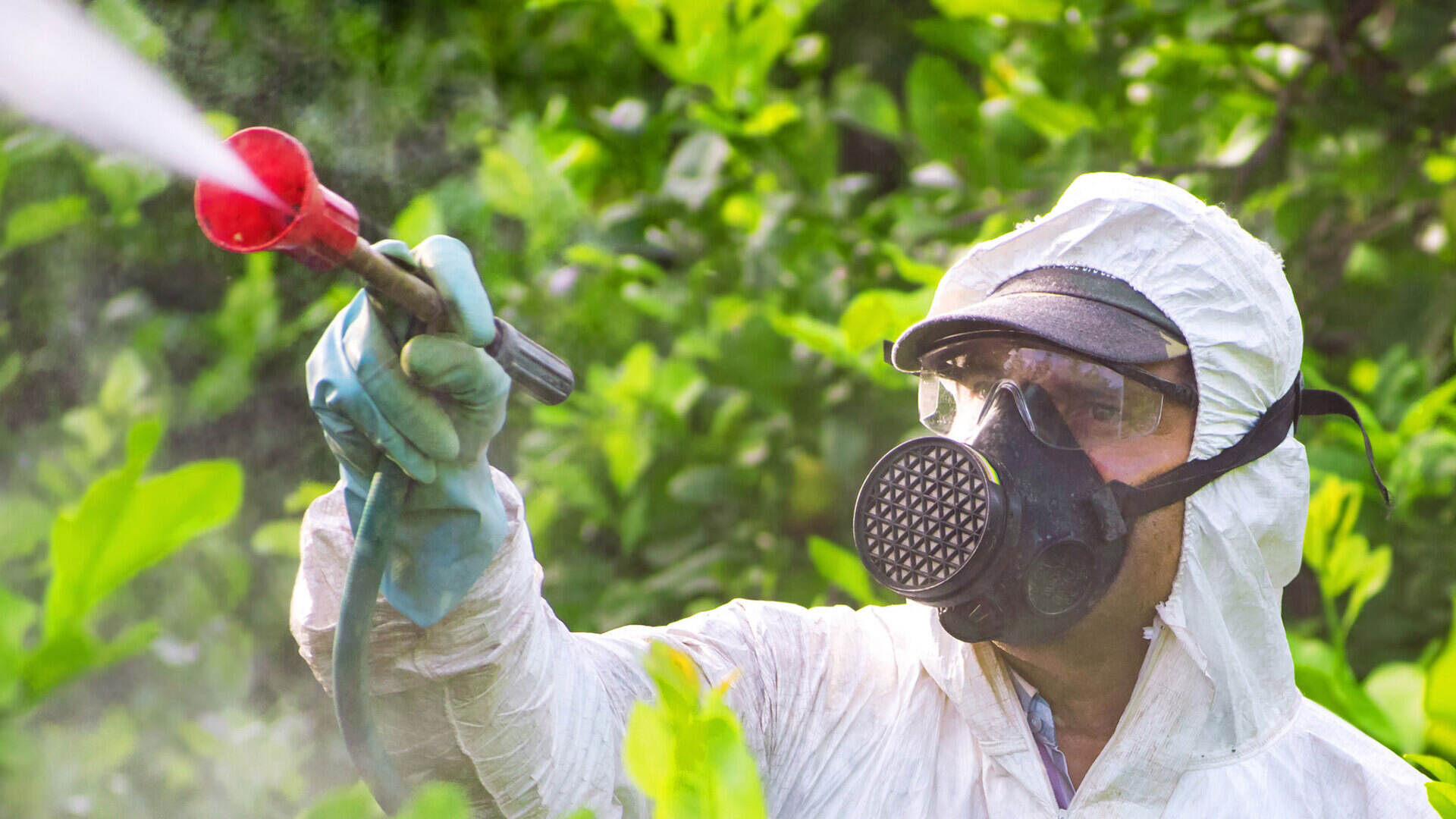 Loi Duplomb : L'indépendance de l’autorité de contrôle des pesticides de nouveau remise en question
