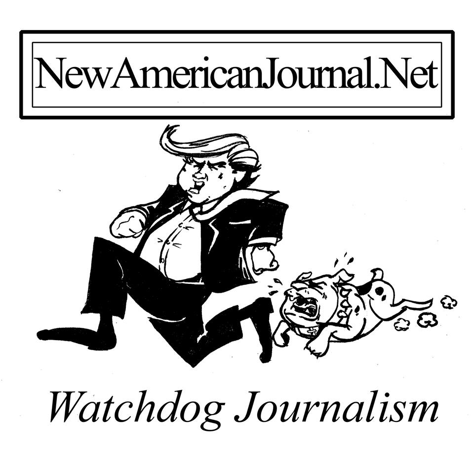 Welcome to the New American Journal | New American Journal
