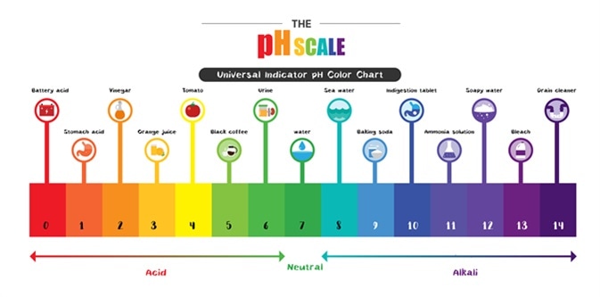 pH in the Human Body