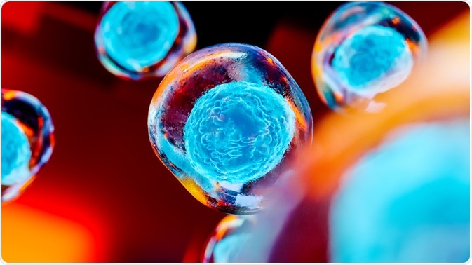 Stem Cell Sources, Types, and Uses in Research