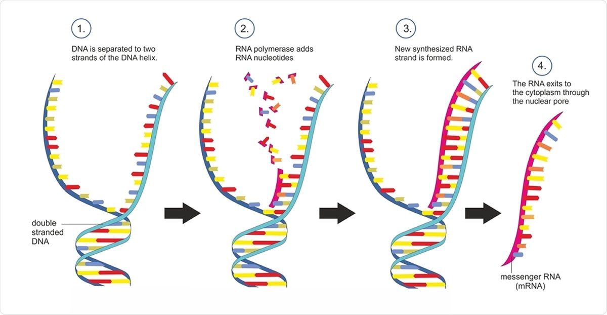 Nanomedicine's giant step into the fight against the COVID-19
