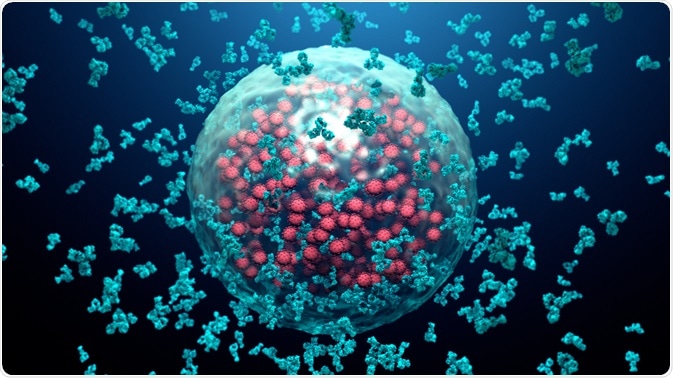 What are Neutralizing Antibodies?