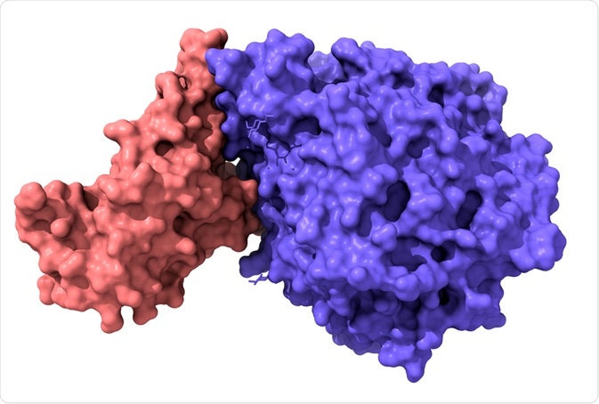 What is a Receptor-Binding Domain (RBD)?
