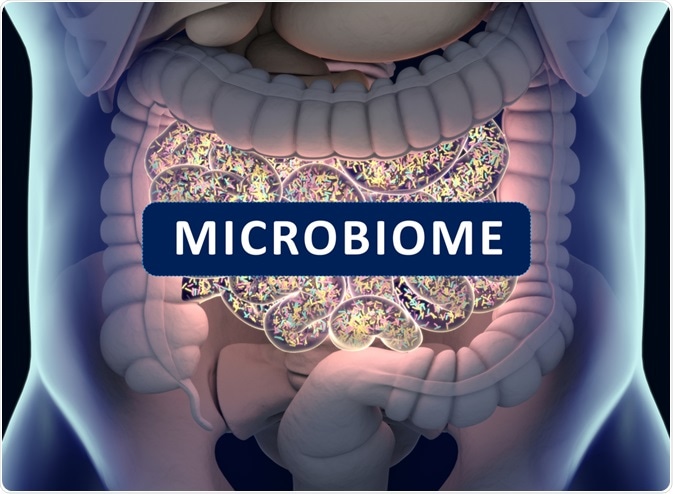 What is the Microbiome?