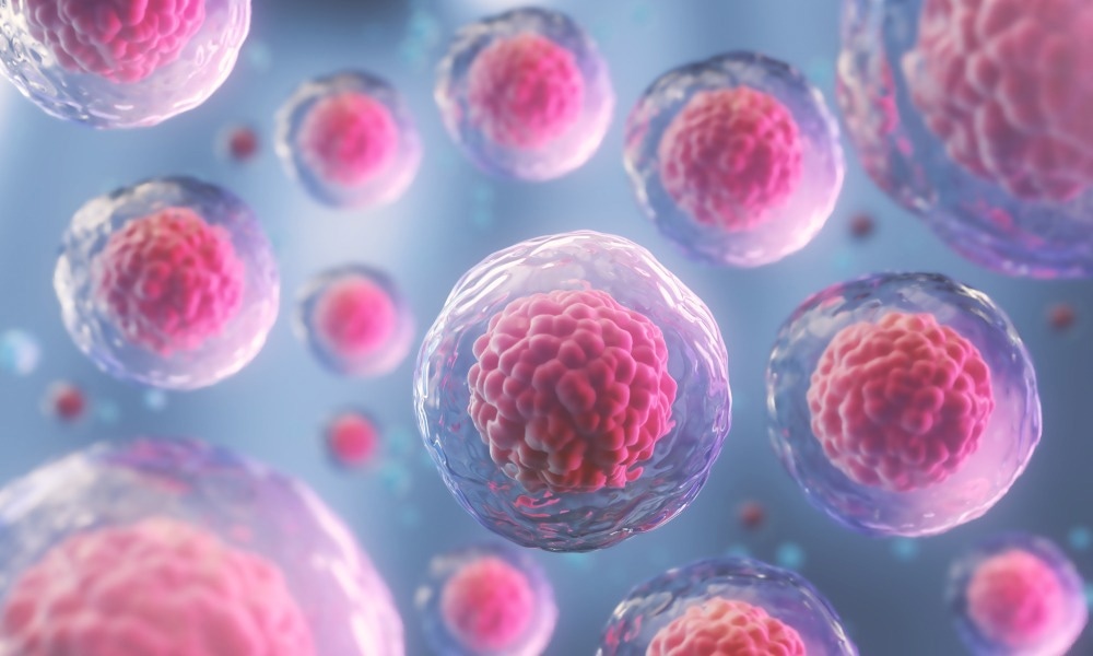 Clinical Applications of Spatial Biology in Disease Diagnosis and Treatment
