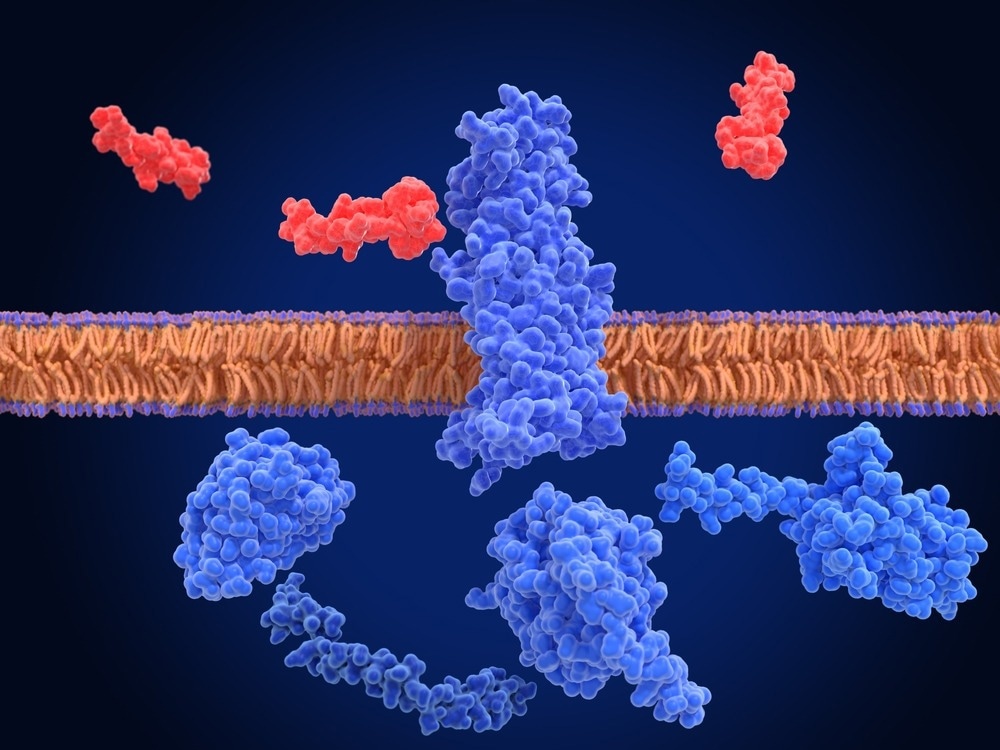 Semaglutide and Type 2 Diabetes: Efficacy, Safety, and Outcomes