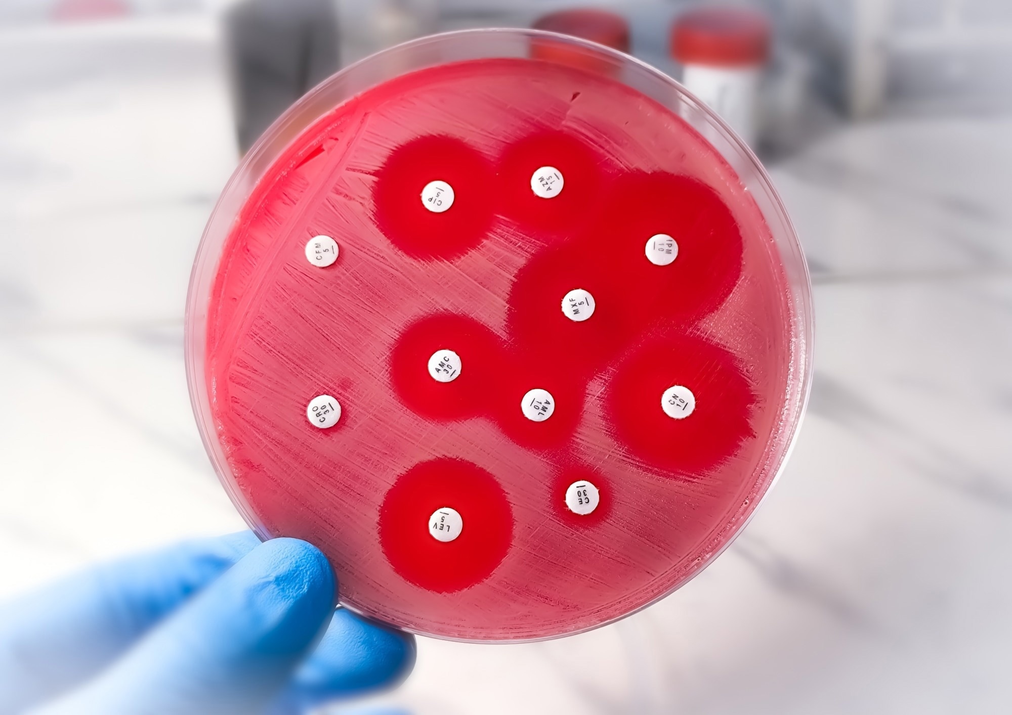 Targeted Protein Degradation: Tackling Antibiotic Resistance
