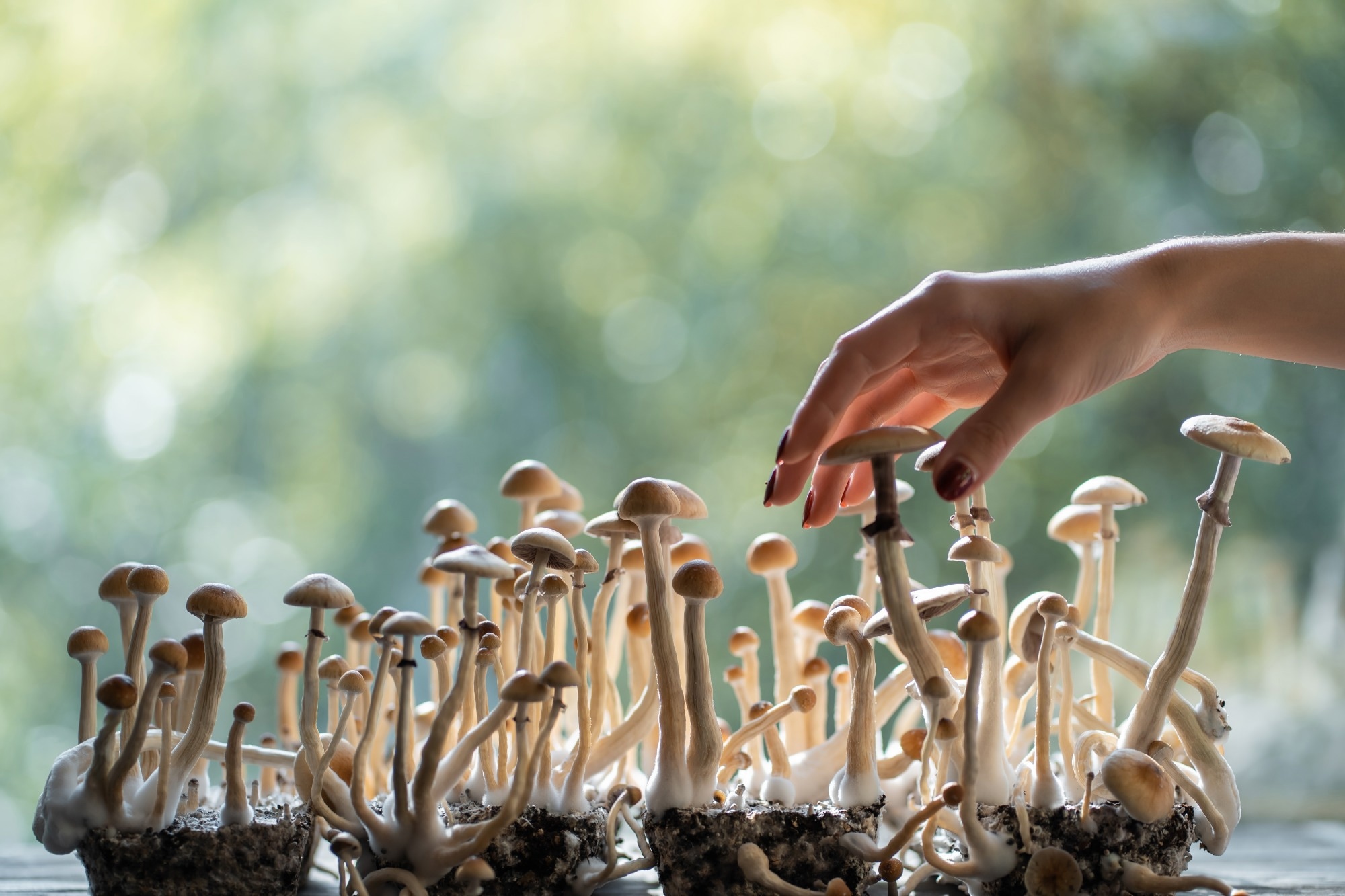 Psychedelic use is associated with major life changes across 10 domains