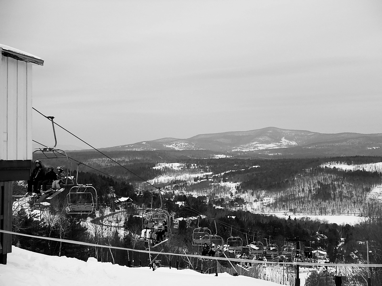 Narwhals Hit The Slopes - The New School Free Press