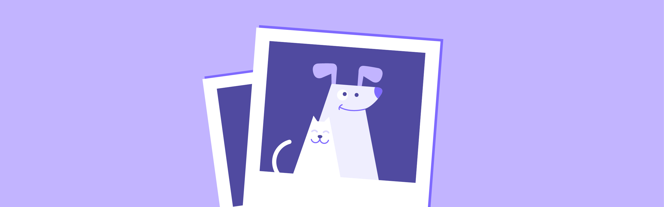 How Pets Create Winning Content for Brands on Instagram