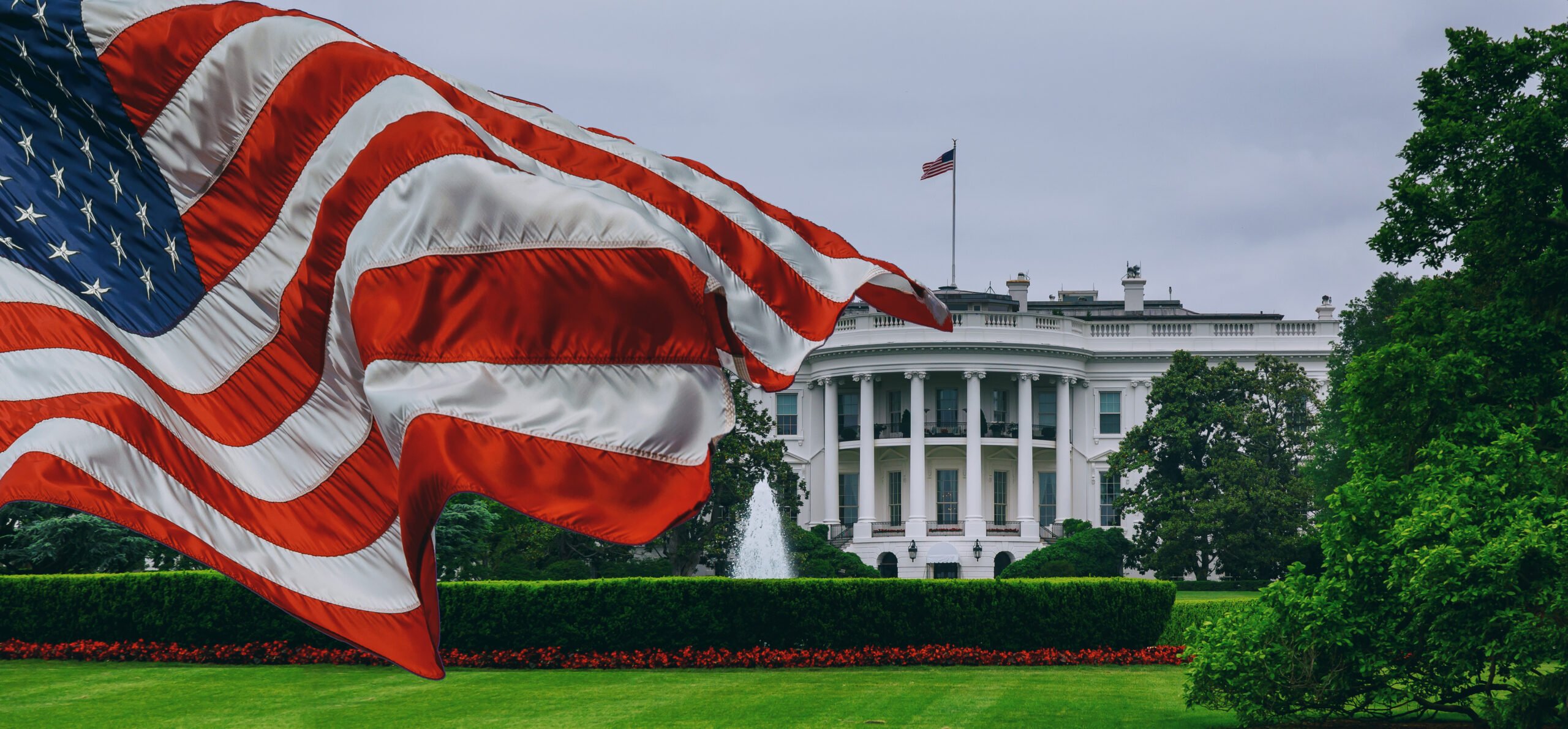 State violence, legitimacy, and the path to true public safety - Niskanen Center