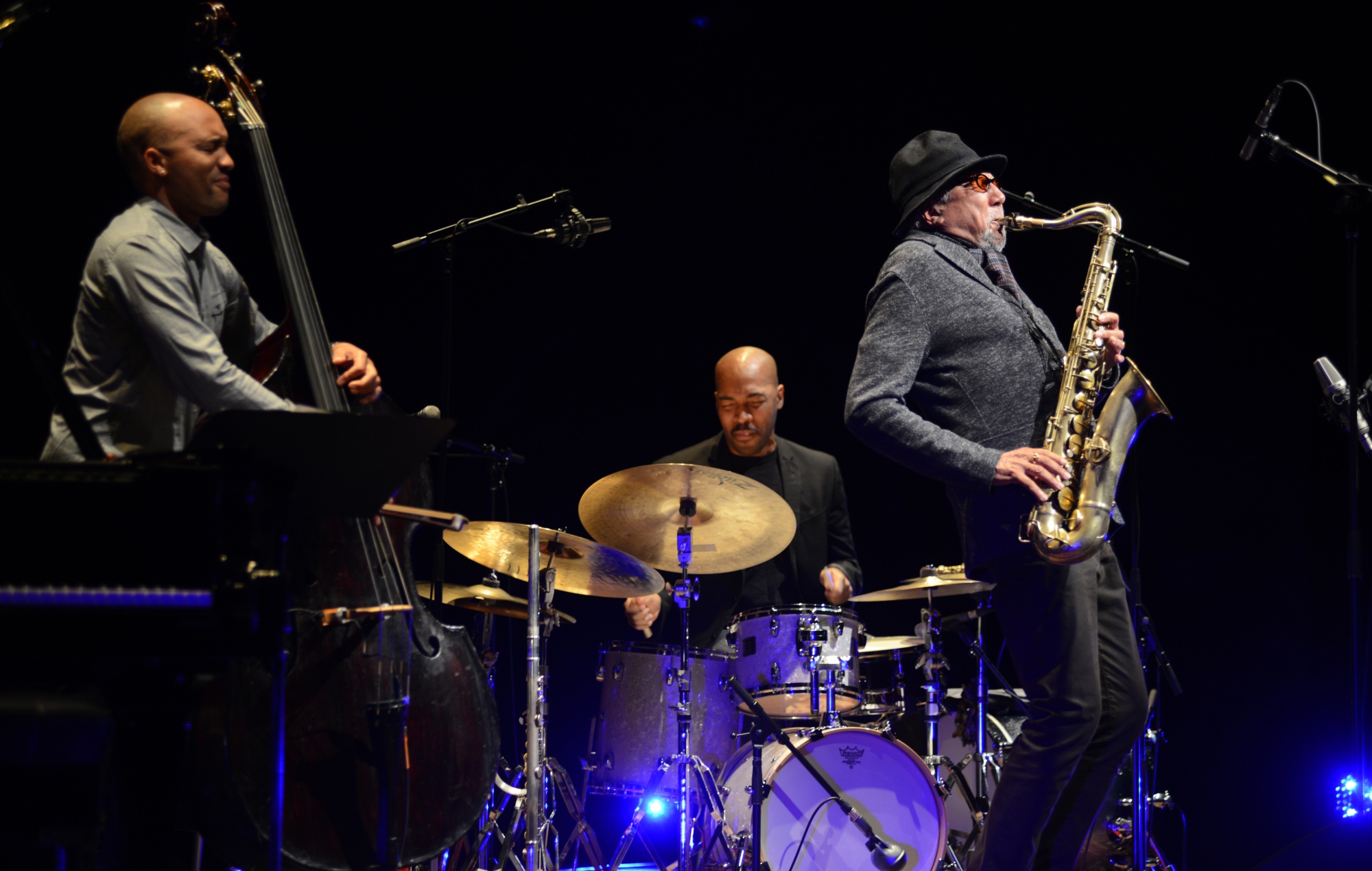 Melbourne International Jazz Festival 2020 goes digital