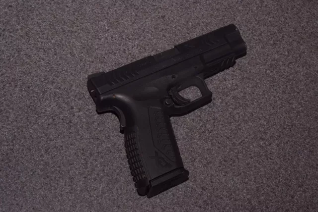 New Survey Reveals Who Owns Guns in California — and How Many Got Them Without Background Checks